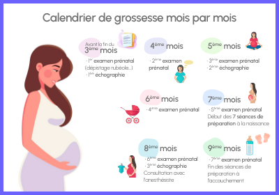 Apothical Calendrier de grossesse un outil incontournable